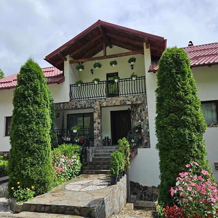 Villa Casa Alba Borşa Exterior foto