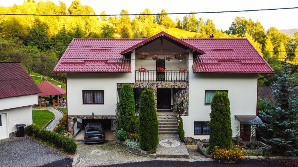 Villa Casa Alba Borşa Exterior foto